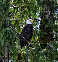 James Earley Ketchikan Alaska