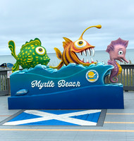 Myrtle Beach - Jim & Sandy October 05, 2026 115