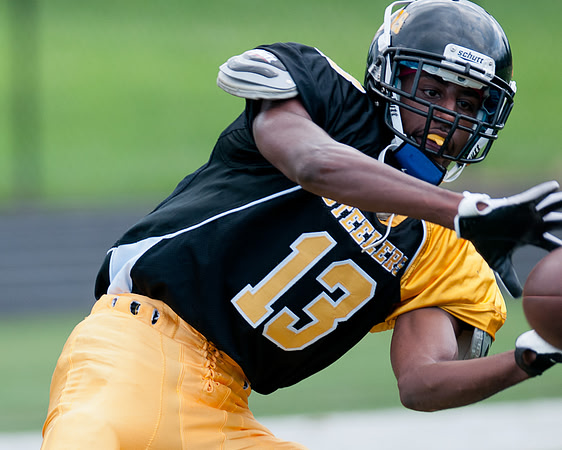 FTB VA Steelers-Hornets-July 13, 2013-111