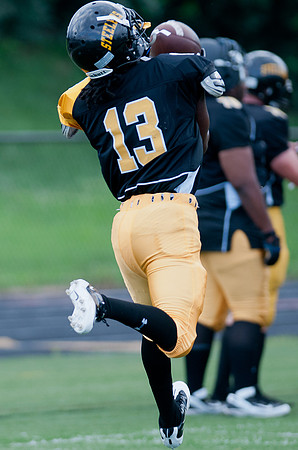 FTB VA Steelers-Hornets-July 13, 2013-123