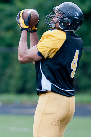 FTB VA Steelers-Hornets-July 13, 2013-119