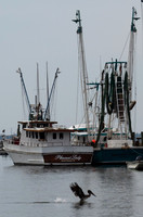 Tom Conry Shem Creek November 17, 2022 - 003