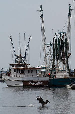 Tom Conry Shem Creek November 17, 2022 - 003