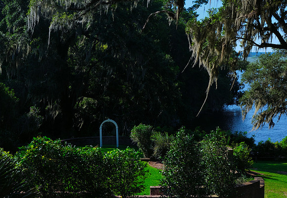 Ron Whte Arch(1)