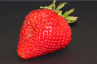 schulman berry 1