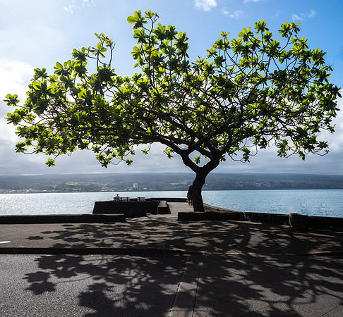 Tom Conry Hawaii Is Hoppa On Hoppa Off March 26, 2024 - 299