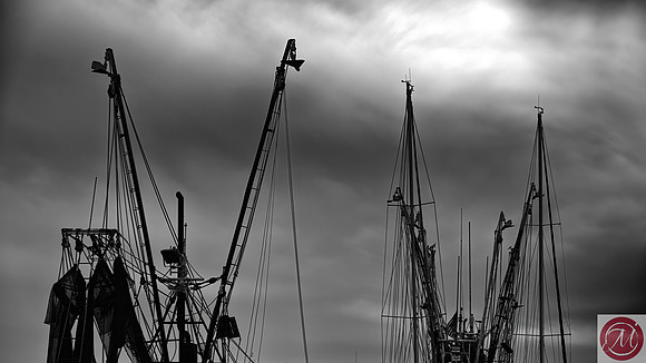 John Foehl Masts