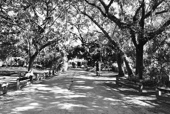 James Earley McClellanville DSC_0678a