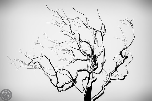 John Foehl Negative