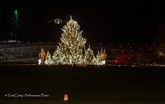 Biltmore Estate  November 13, 2019  037