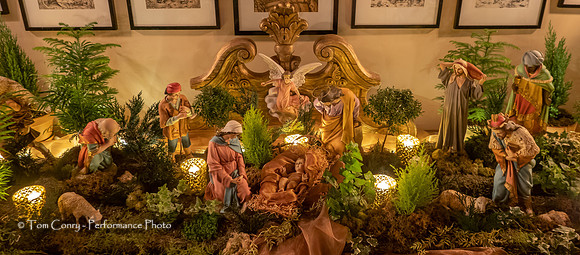 Biltmore Estate  November 13, 2019  067