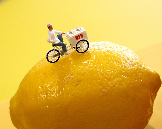 RR Schulman McClellanville Lemon