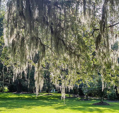 Mepkin Abbey -July 29, 2022 - 001