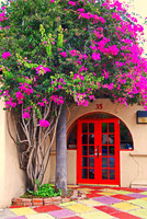 Ron Red Door