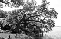 Mepkin Abbey -July 29, 2022 - 038