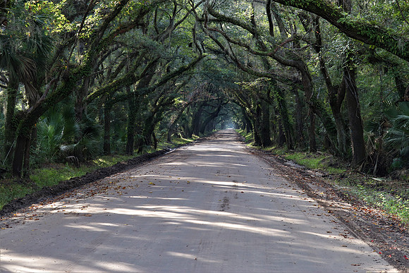 Joe Laferte Botany Bay
