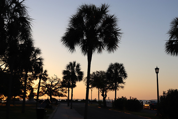 LaFerte - Battery - Palmettos