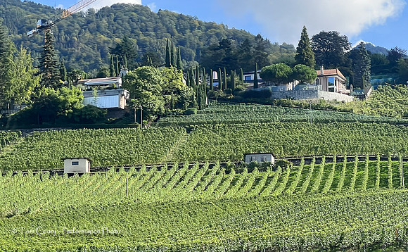 Switzerland IPhone September 14, 2024 022.jpg
