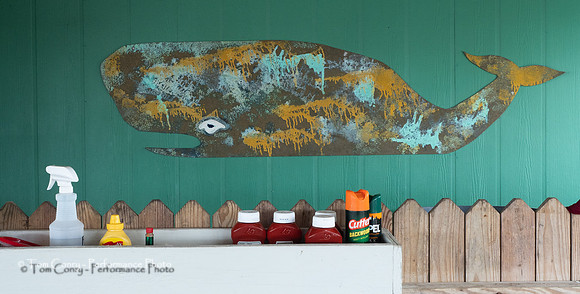 Southport NC  November 10, 2021 024