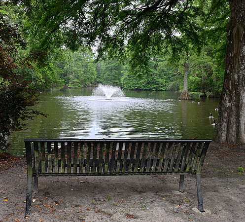 Michael Pausic 20250508-Swan Lake-Iris Gardens SC-098