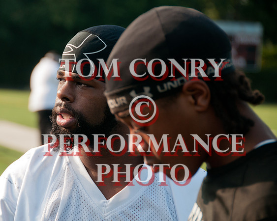 Steelers-Titans-20120804-116-2