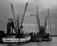 Shem Creek November 17, 2022 - 035