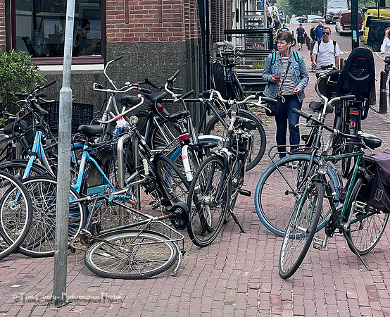 Netherlands IPhone September 04, 2024 034.jpg