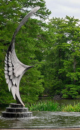 Michael Pausic 20250508-Swan Lake-Iris Gardens SC-049