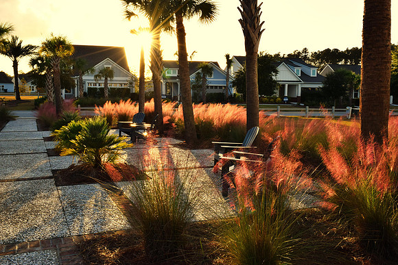 James Earley MuhlyGrass DSC_0598a