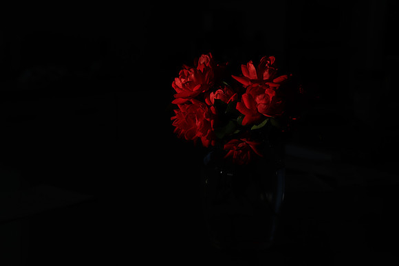 Roses - Joe