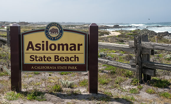 Pacific Grove - Monterey  April 26, 2022-20