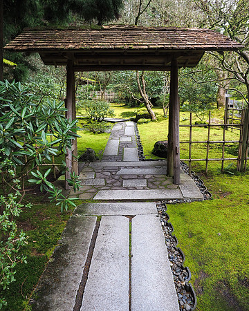 Tim - Japanese Gardens - Portland March 24, 2025 013.jpg
