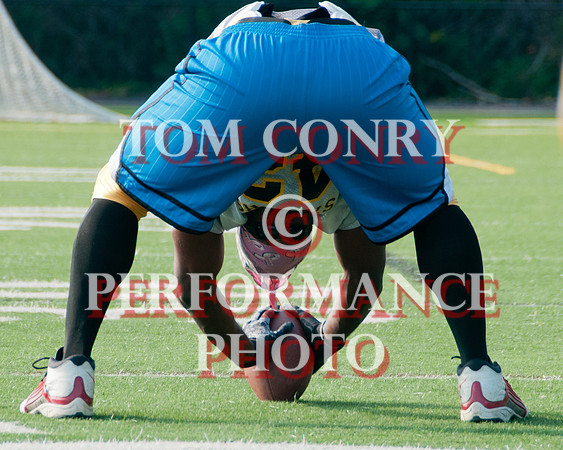 Steelers-Titans-20120804-124