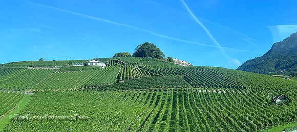 Switzerland IPhone September 14, 2024 017.jpg