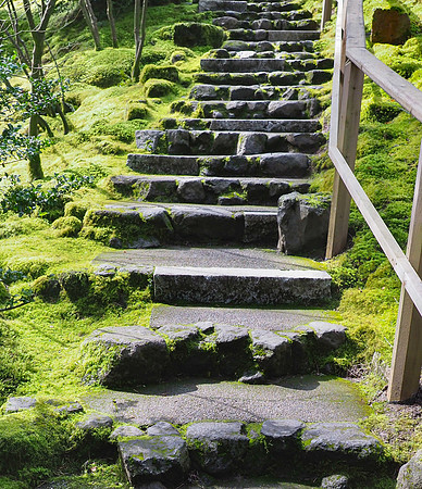 Tim - Japanese Gardens - Portland March 24, 2025 047.jpg