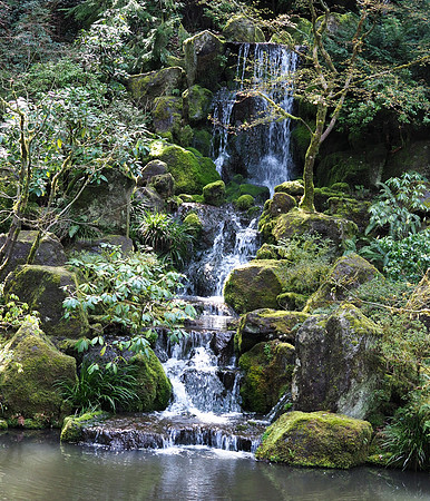 Tim - Japanese Gardens - Portland March 24, 2025 033.jpg