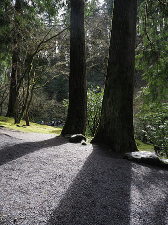 Tim - Japanese Gardens - Portland March 24, 2025 061.jpg