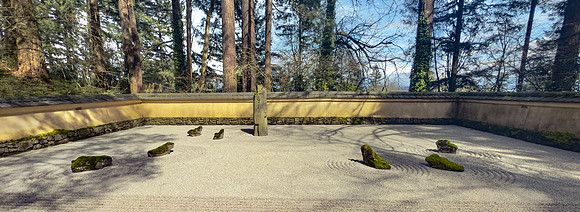 Tim - Japanese Gardens - Portland March 24, 2025 043.jpg