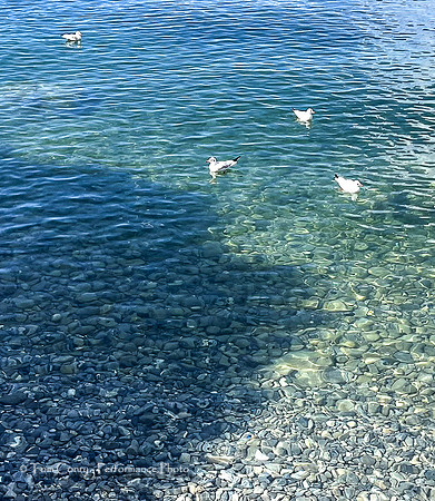 Switzerland IPhone September 14, 2024 030.jpg