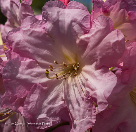 Portland OR May 04, 2018  095